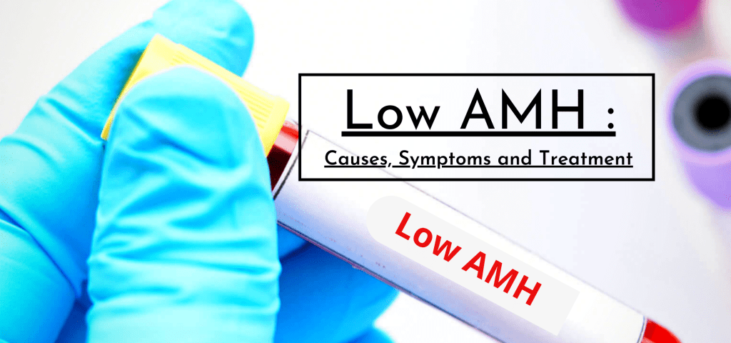 Low AMH : Causes, Symptoms and Treatment
